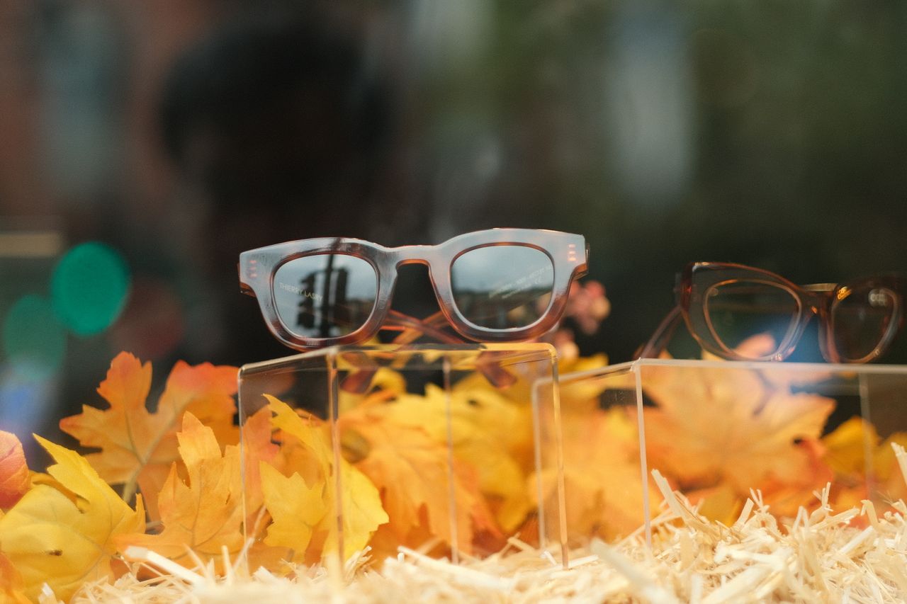 Elegant eyewear displayed amidst autumn leaves capturing fall fashion essence.